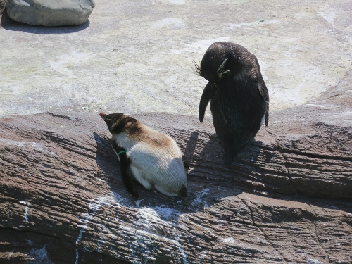 [画像:IMG_0169]